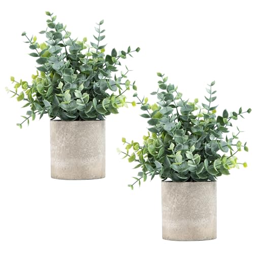 Coferset 2 Pack Small Fake Plants Eucalyptus Potted Artificial Plants for Shelf Desk Home Bathroom Farmhouse Room Coffee T...
