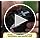 Chinshwehaw 5 in 1 Survival Bracelet-Fire Starter,Loud Whistle,Compass,Paracord Rope & Cutter,Military Grade Tactical Gear...