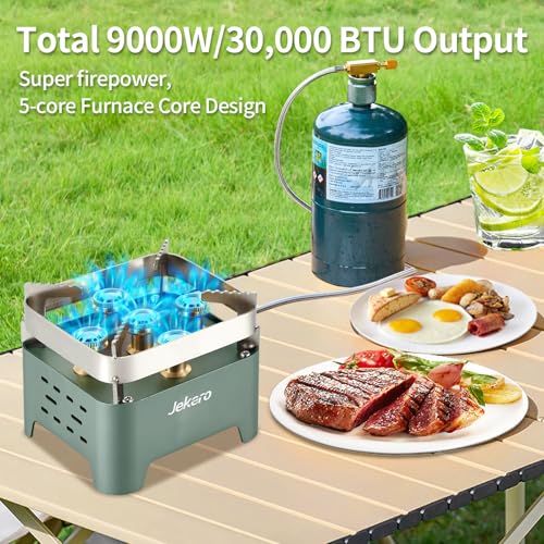 30,000 BTU Camping Stove, Portable Camp Stove Gas Stove,Windproof Small Propane Butane Stove, Stainless Steel, with Carryi...