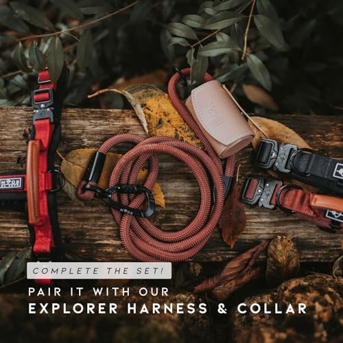 MADE TO ROAM Premium Explorer Leash - Climbing Rope Leash with Autolocking Aviation Aluminum Carabiner - Maine Marina, 6ft