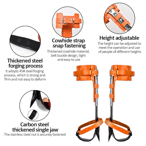 Auckyeer Tree Climbing Gear, Tree Climbing Spikes, with Adjustable Climbing Straps, Tree Climbing Spikes for Tree Work