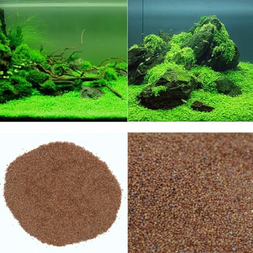 MISUHALOU Aquarium G-r-a-s-s P-l-a-n-t - 3 Pack | Easy-Growing Water P-l-a-n-t for Fish Tank Aquarium