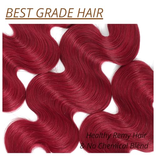 Red Burgundy 3 Bundles Human Hair Body Wave, 12A Colored 100% Unprocessed Remy Hair Soft and Bouncy Burgundy Cherry Red 99J Human Hair Wavy Bundles Sew in Double Weft Quick Weave 10 12 14 Inch