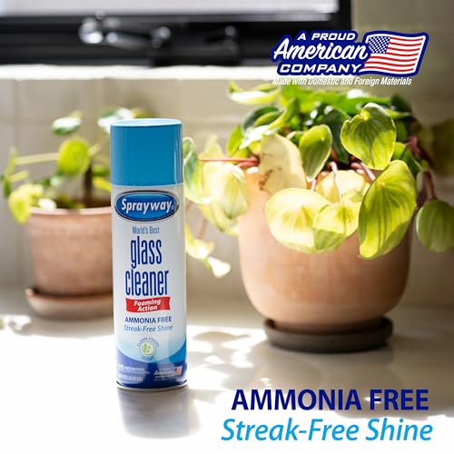 Sprayway Glass Cleaner Foaming Aerosol Spray, 19oz, Pack of 2 | Ammonia-Free, Streakless, Fast-Acting | Cleans & Polishes ...