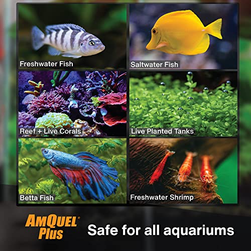 Kordon AmQuel Plus Aquarium Water Conditioner - Instantly Detoxifies Ammonia, Nitrite, Nitrate, and Chlorine Remover for F...