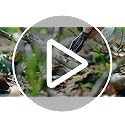 Camping Mini Torch Lighter EDC Windproof Small Lighters with Visual Window Refillable Gas Pocket Tactical Jet Flame for Hi...