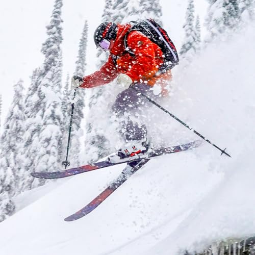 Zipline Blurr EXT MRDW Collection - Adjustable Graphite Composite Ski Poles for Backcountry & All-Mountain - Lightweight, ...