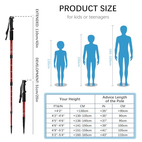 Ynaize 2 Pack Hiking Poles for Junior, Nordic Walking Trekking Pole Hiking Sticks Lightweight Collapsible & Shock-Absorben...
