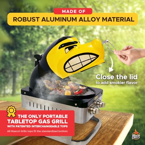 Hawkeye Portable Propane Gas Grill, 16,000 BTU Tabletop Barbecue with 2 Burners, Dual Temp Control for Tailgating, RV, Bac...