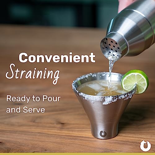 SNOWFOX Premium Vacuum Insulated Stainless Steel Cocktail Shaker, Home Bar Accessories, Elegant Drink Mixer, Leak, Proof L...
