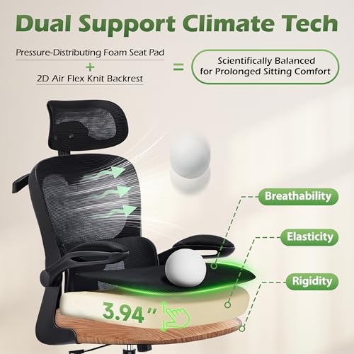 AreShark Office Chair Ergonomic Desk Chairs with Adjustable Lumbar Support& Headrest Hanger, High Back Breathable Mesh Cha...