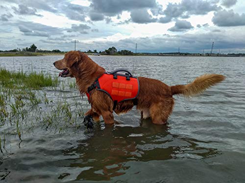 Bark Brite Multi-Purpose Dog Backpack Life Jacket (Size Large)