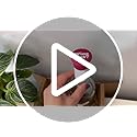 Funny Silicone Wine Stopper Set – Must-Have Wine Accessories & Perfect Wine Gifts for Women & Men – Airtight & Reusable