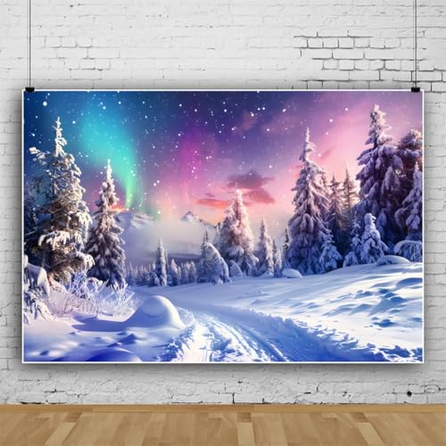 ZJRBJB 10x8ft Winter Wonderland Backdrop Winter Backdrops for Photography Northern Lights Aurora Pine Christmas Xmas Tree ...