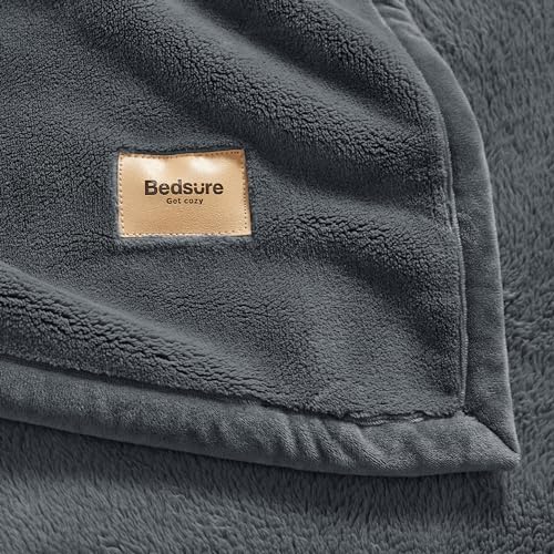 Bedsure Thick Heavy Warm Blankets for Winter, Soft Fleece Twin Blanket for Bed, GentleSoft Cozy Fluffy Thick Winter Christ...