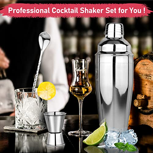 25oz Cocktail Shaker Set Martini Shaker Set Bartender Set with Margarita Mixer Drink Shaker, Measuring Jigger and Mixing S...