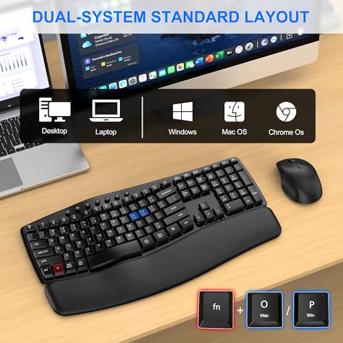 Ergonomic Wireless Keyboard Mouse Combo, EDJO Bluetooth/2.4G Dual-Mode Connection, Soft Foam Wrist Rest, Silent Typing, Wa...