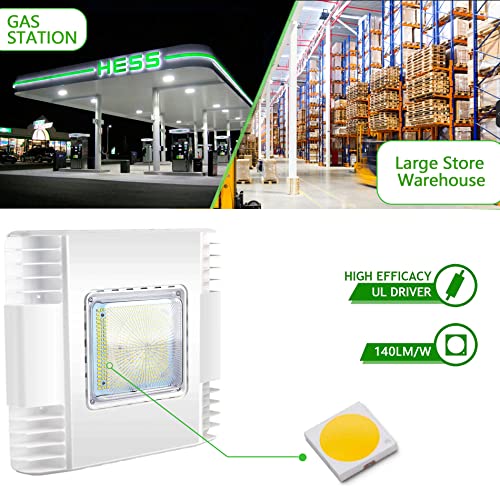 LED Canopy Gas Station Light, 150W 21000LM Surface Mount LED Carport Ceiling Light 5700K (600W HID/HPS Equivalent), 100-27...