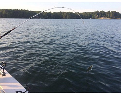 Ugly Stik 7’ Catfish Spinning Fishing Rod and Reel Catfish Combo, Ugly Tech Construction with Clear Tip Design, 7’ 2-Piece...