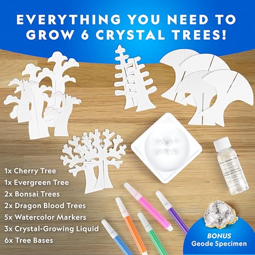 National Geographic Craft Kits for Kids - Crystal Growing Kit, Grow 6 Crystal Trees in Just 6 Hours, Educational Craft Kit...