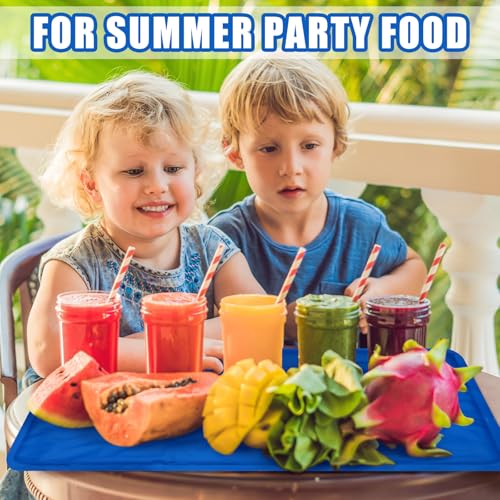 Reallnaive 2 Pcs Reusable Freezable Ice Mat for Buffet Table Chilled Serving Tray Party 19.69 x 15.75 Inches Charcuterie C...