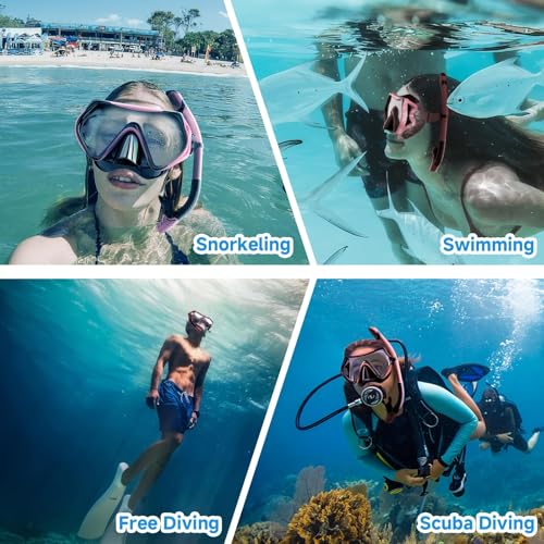 Snorkeling Gear for Adults, Dry-Top Snorkel Set Scuba Diving mask, 180°Panoramic Wide View Professional Snorkeling Gear Br...