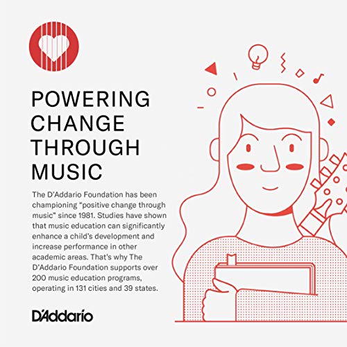 D'Addario Accessories PW-CT-9V DC Power Adapter – Pedalboard Supply - For Pedal Board and Other Devices Requiring 9V – 800...