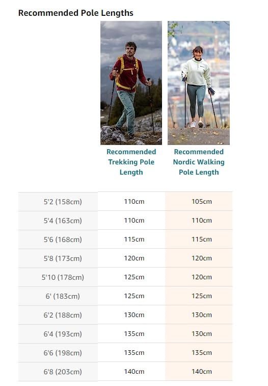 LEKI Nordic Walking Instructor (Lt Blue) Trekking Pole