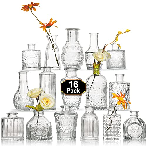 Arme 16Pcs Glass Bud Vase Set，Small Flower Vase for Centerpieces，Clear Bud Vases in Bulk， Mini Vintage Vase for Rustic Wed...