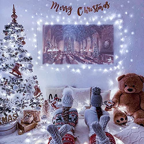 JMEXSUSS 66ft 200 LED White Christmas Lights Indoor Outdoor, Connectable String Twinkle Lights Outdoor Clear Wire Plug in ...