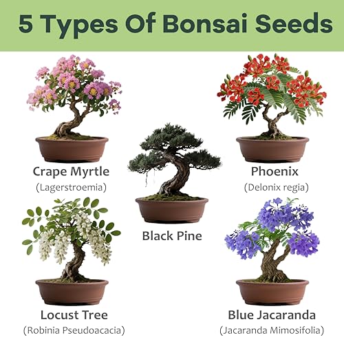 LUOJIBIE Bonsai Tree Kit for Beginners - Unique DIY Japanese Bonsai Trees,Crafts for Adults, Ideal Gardening Birthday Gift...
