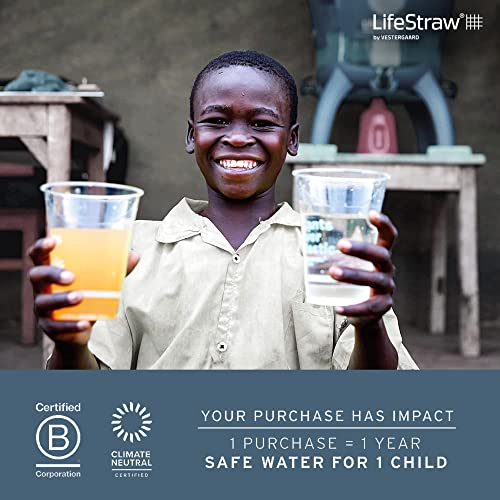 LifeStraw Personal Water Filter for Hiking, Camping, Travel, and Emergency Preparedness