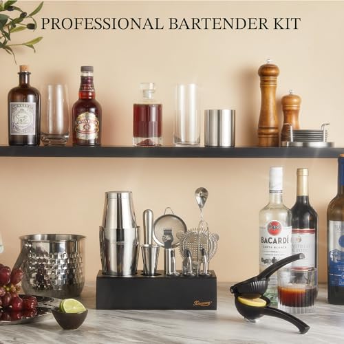 KITESSENSU Boston Shaker Set Mixology Bartender Kit | Premium Cocktail Shaker Kit with Stand Professional Home Bar Tools A...