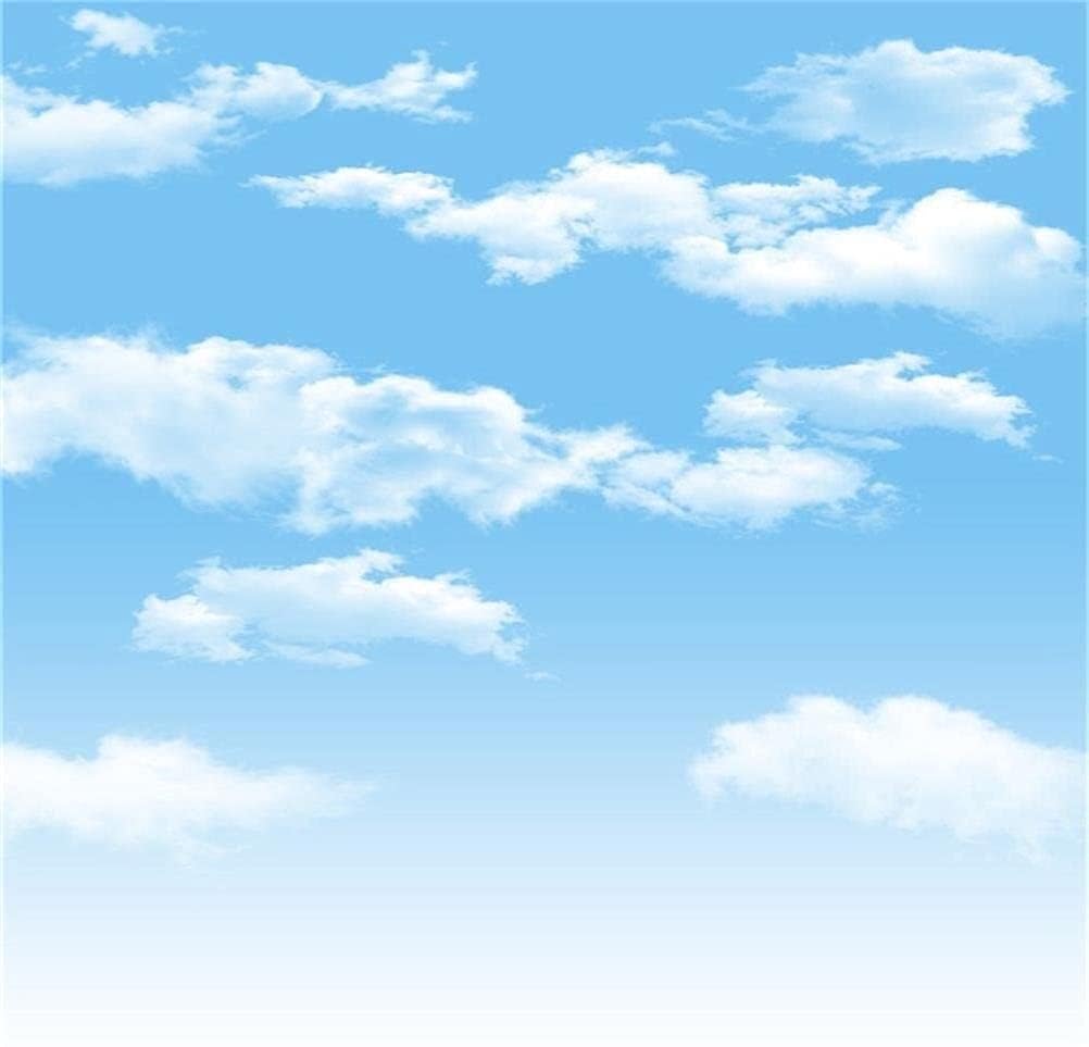 Aofoto 5X5Ft Blue Sky White Clouds Photography Background Spring Winter Party Decoration Birthday Wedding Cloud Backdrop Baby Ki