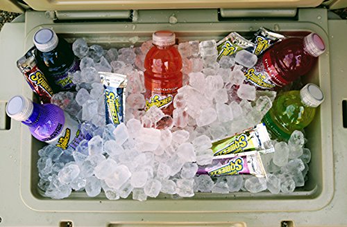 Sqwincher Zero Activity Drink Bottles | Grape Flavored | Sugar Free | Low Calorie | Low Sodium | Ready-To-Drink | Electrol...