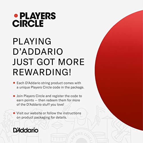 D'Addario Accessories PW-CT-9V DC Power Adapter – Pedalboard Supply - For Pedal Board and Other Devices Requiring 9V – 800...