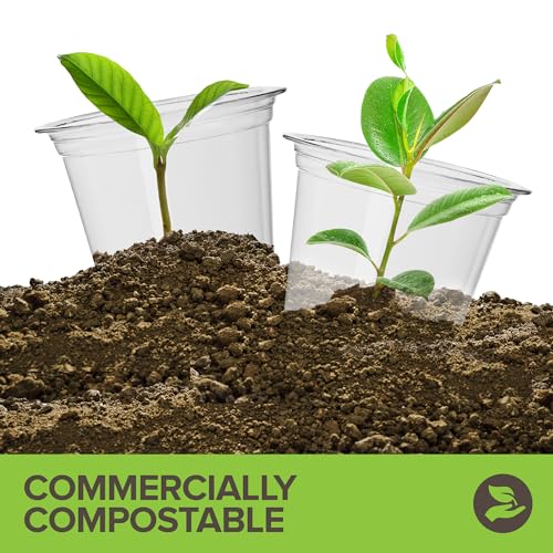 Stock Your Home 12 oz Clear Commercially Compostable Cold Cups (100 Pack), Eco Party Cup, Environmentally Friendly Disposa...