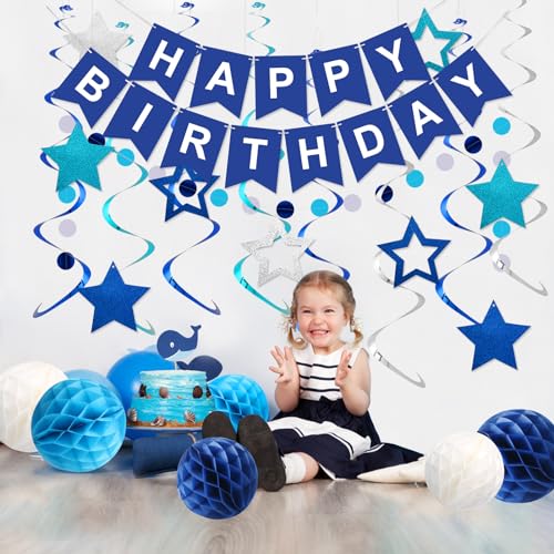 meowtastic Birthday Decorations, Happy Birthday Banner with Honeycomb Balls, Stars Hanging Swirl Streamers, Circle Dots Ga...