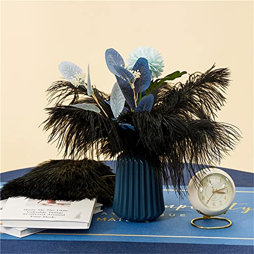 NEWONG 30pcs Black Ostrich Feathers Natural Bulk 9-12inch(23-30cm) Vase Craft Wedding Home Party Centerpieces Christmas Da...