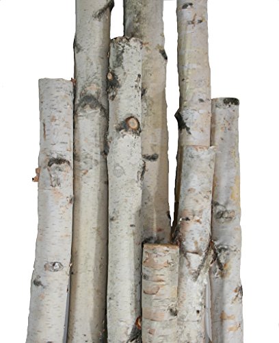 Wilson White Birch Pole Pack (Small) Set of 3 White Birch Poles: 1.5-2.5 inch Diameter x 3, 4, and 5 feet Tall