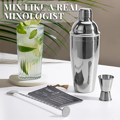 Premium Mixology Cocktail Shaker Set | 4 Piece Bar Tool Set, Silver Bar Set Cocktail Shaker Set for Drink Mixing - Include...