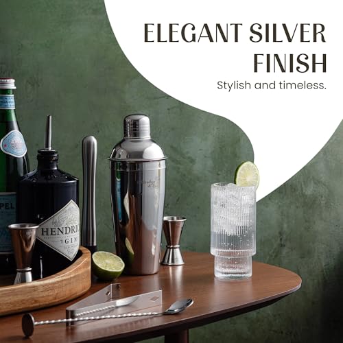 Mixology & Craft 16-Piece Stainless Steel Cocktail Shaker Set, 24 oz Cobbler Martini Shaker, Mixology Bartender Kit with S...