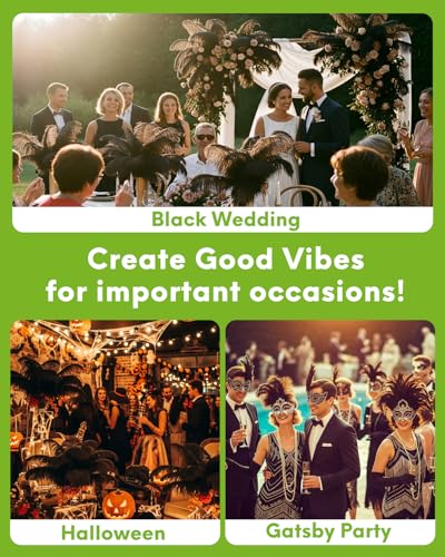 NEWONG 30pcs Black Ostrich Feathers Natural Bulk 9-12inch(23-30cm) Vase Craft Wedding Home Party Centerpieces Christmas Da...