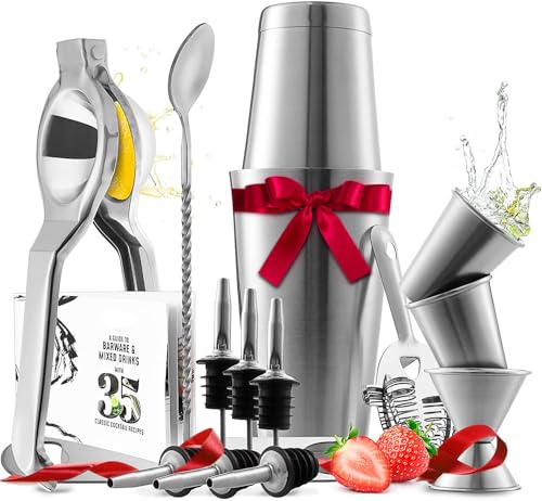 Bar Set Cocktail Shaker Set, Stainless Steel Mixology Bartender Kit, 16 Piece Cocktail Kit, Silver Cocktail Set, Bar Tool...