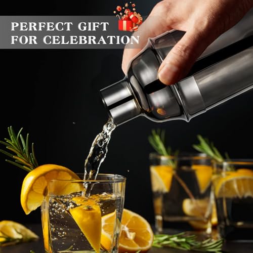 Cocktail Shaker Set, Mixology Bartender Kit 10-Piece Bar Tools Set with Stylish Bamboo Stand, Bar kit: Martini Shaker Mudd...
