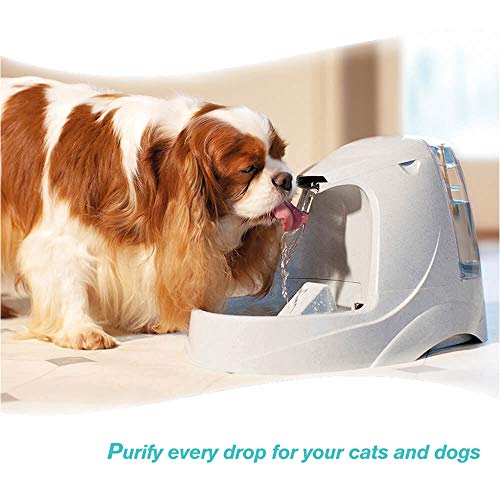 Pureup Water Fountain Filters Compatible Replacement for Drinkwell Platium Pet Dog Cat Fountain Premium Charcoal Filters 1...