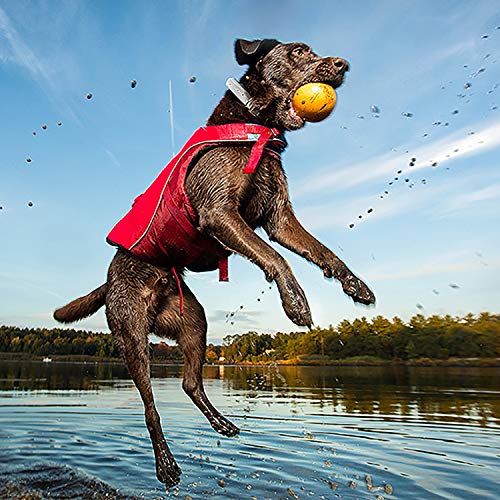 Kurgo Surf n’ Turf Dog Life Jacket - Flotation Life Vest for Swimming and Boating - Dog Lifejacket with Rescue Handle and ...