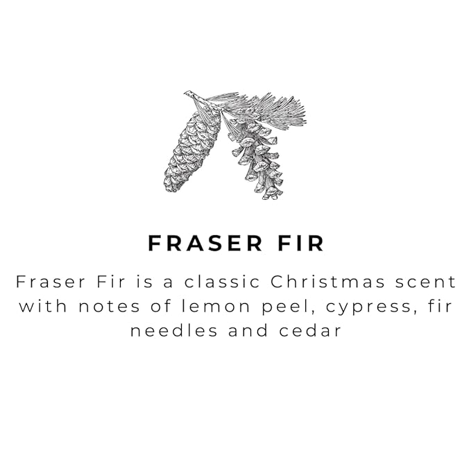 River Birch Fraser Fir Scented Natural Hand Soap - Handmade Soap - Moisturizing Hand Wash with Amber Glass Dispenser - Luxury Scented Hydrating Hand Soap - Vegan and Non-Toxic -16 Fl Oz