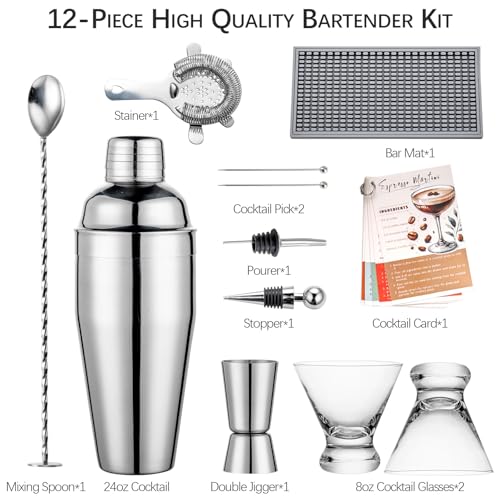 USEEKRIL Travel Martini Kit with 2 Glasses,Travel Bartender Kit with Case Recipe Cards, Cocktail Shaker Set for Cocktail M...