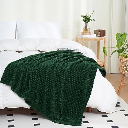 Puncuntex Green Throw Blanket 50"×60" Decorations Fleece Super Soft Plush Fuzzy Cozy Blanket with Square 3D Jacquard Grid ...